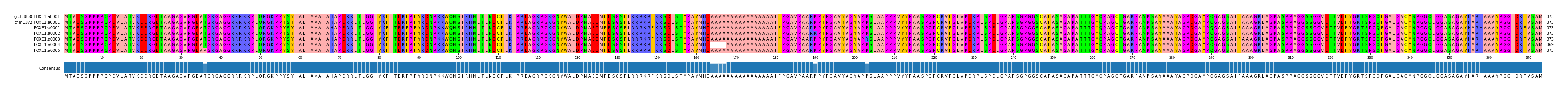 Multiple Alignments (by translate haplotype frequency)