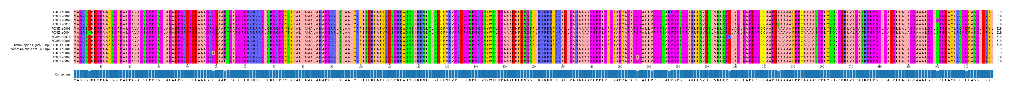 Multiple Alignments (by translate haplotype similarity)