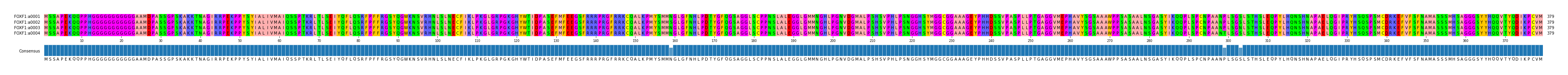 Multiple Alignments (by translate haplotype frequency)