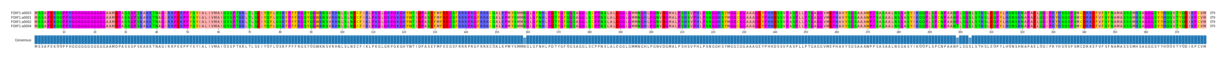 Multiple Alignments (by translate haplotype similarity)