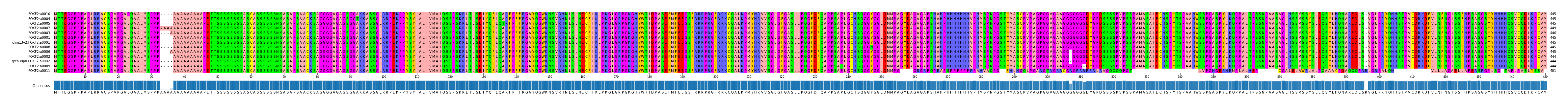 Multiple Alignments (by translate haplotype similarity)