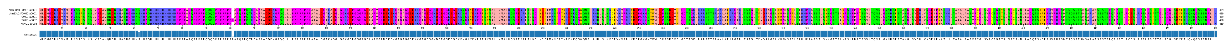 Multiple Alignments (by translate haplotype similarity)
