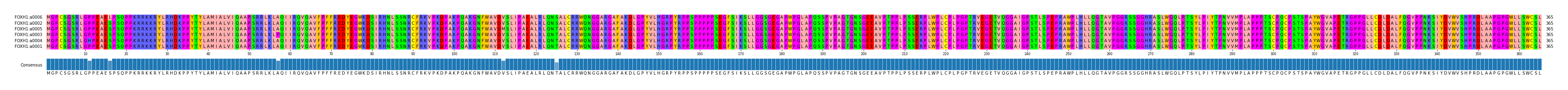 Multiple Alignments (by translate haplotype similarity)