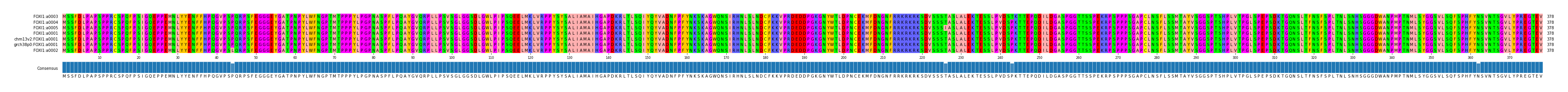 Multiple Alignments (by translate haplotype similarity)