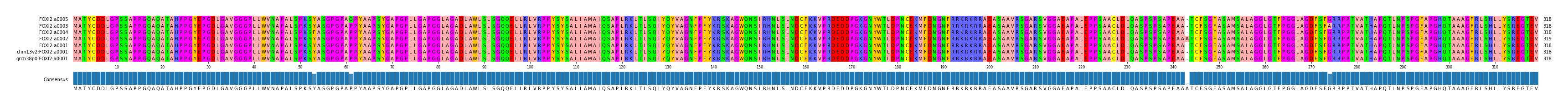 Multiple Alignments (by translate haplotype similarity)