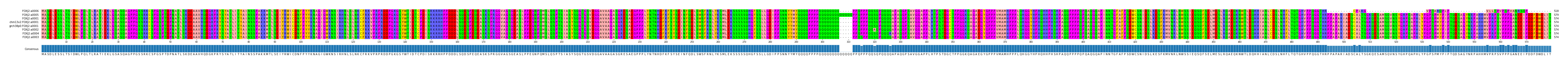 Multiple Alignments (by translate haplotype similarity)