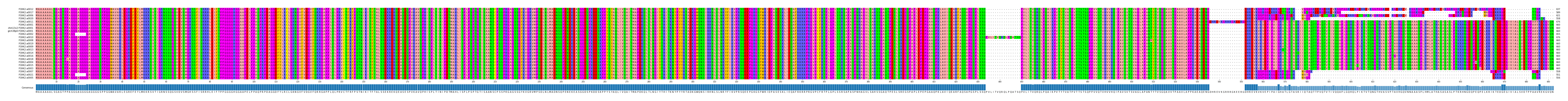 Multiple Alignments (by translate haplotype similarity)