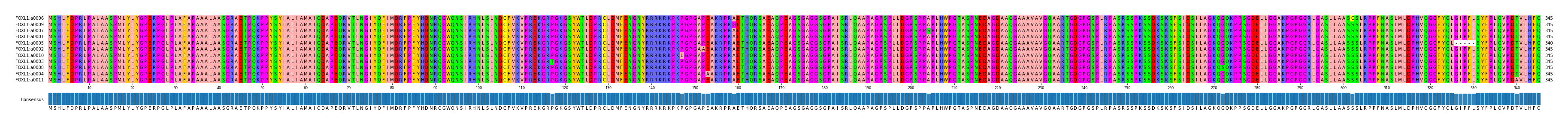 Multiple Alignments (by translate haplotype similarity)