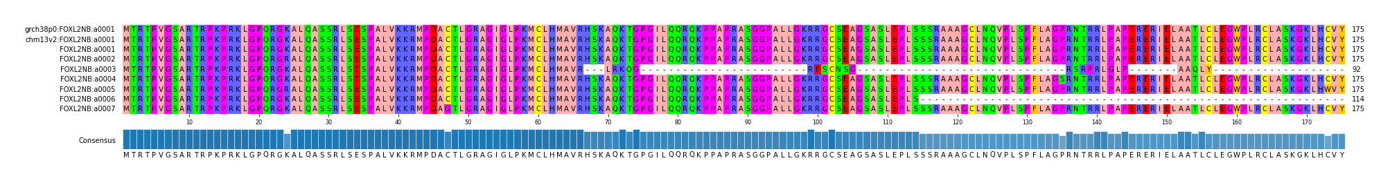 Multiple Alignments (by translate haplotype frequency)
