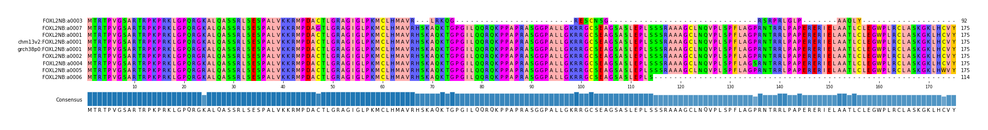 Multiple Alignments (by translate haplotype similarity)