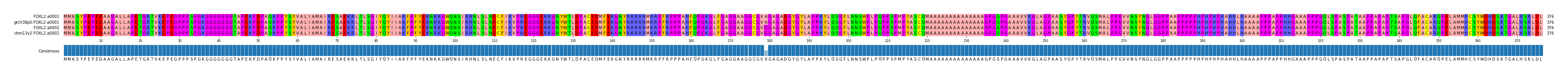 Multiple Alignments (by translate haplotype similarity)