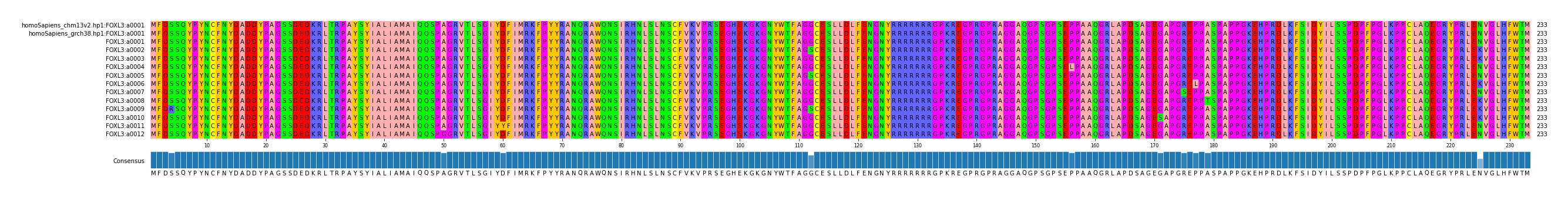 Multiple Alignments (by translate haplotype frequency)