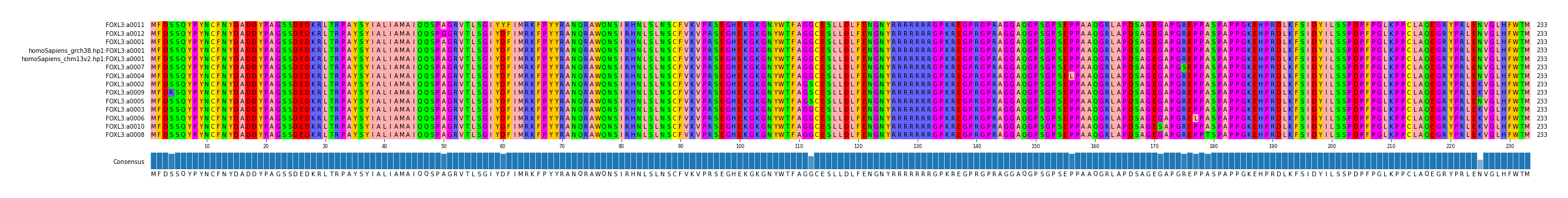 Multiple Alignments (by translate haplotype similarity)