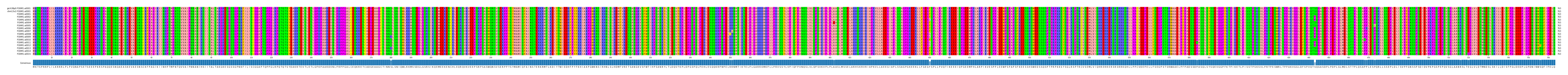 Multiple Alignments (by translate haplotype frequency)