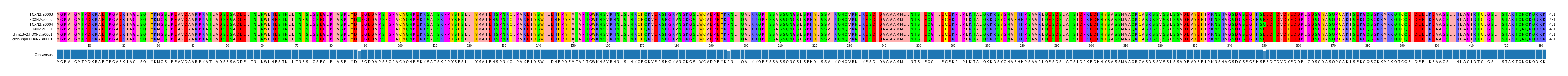 Multiple Alignments (by translate haplotype similarity)