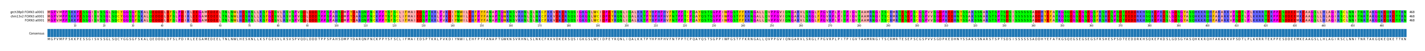 Multiple Alignments (by translate haplotype frequency)