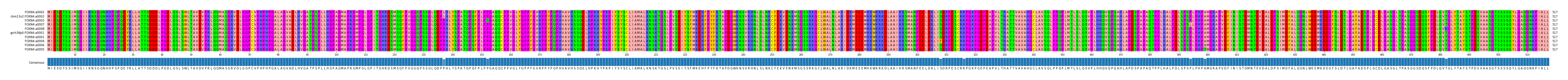 Multiple Alignments (by translate haplotype similarity)