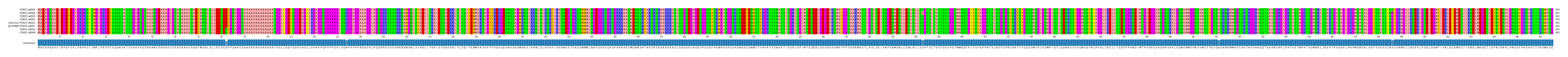 Multiple Alignments (by translate haplotype similarity)
