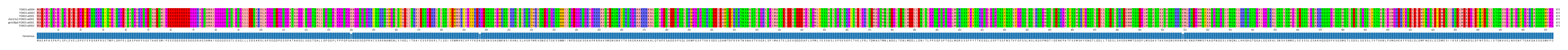 Multiple Alignments (by translate haplotype similarity)
