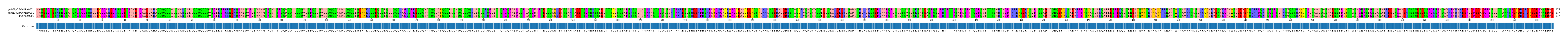 Multiple Alignments (by translate haplotype frequency)