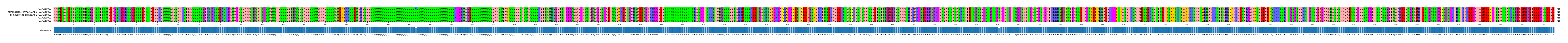 Multiple Alignments (by translate haplotype similarity)