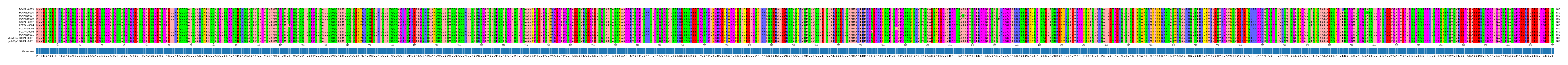 Multiple Alignments (by translate haplotype similarity)