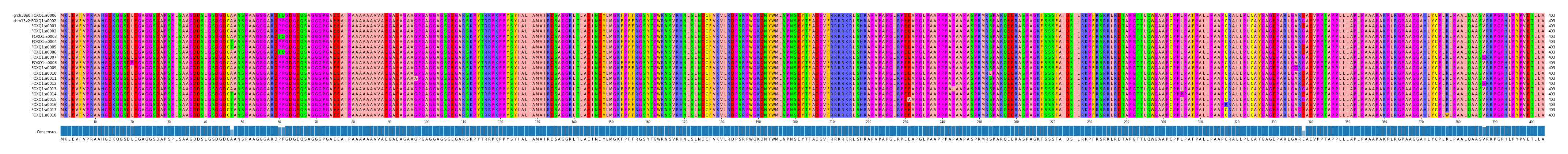 Multiple Alignments (by translate haplotype frequency)