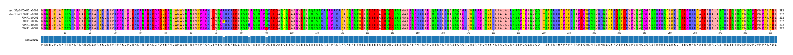 Multiple Alignments (by translate haplotype frequency)