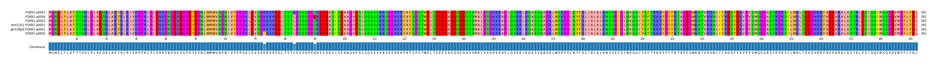 Multiple Alignments (by translate haplotype similarity)