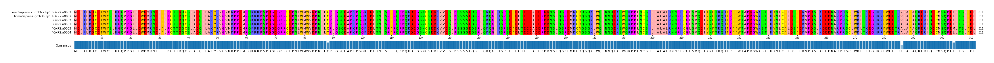 Multiple Alignments (by translate haplotype similarity)