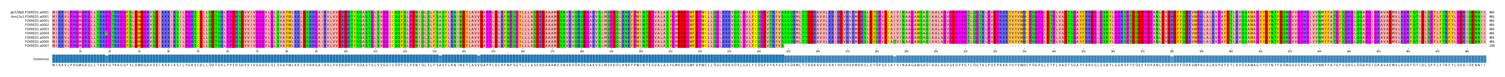 Multiple Alignments (by translate haplotype frequency)