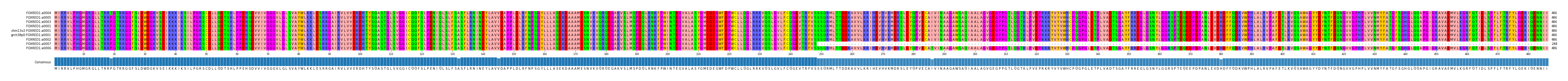 Multiple Alignments (by translate haplotype similarity)