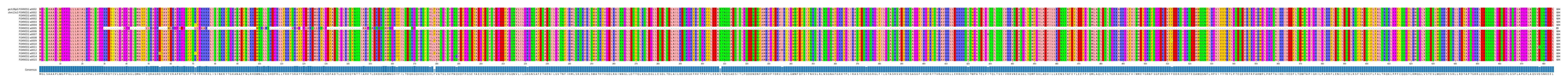 Multiple Alignments (by translate haplotype frequency)