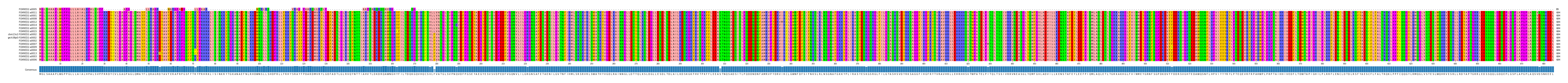 Multiple Alignments (by translate haplotype similarity)