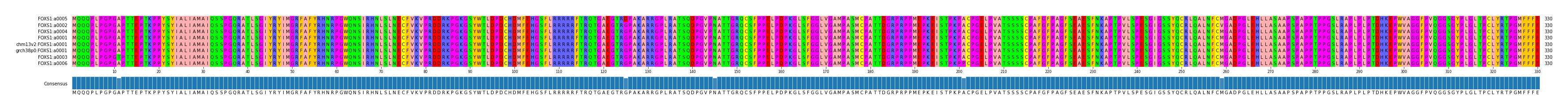 Multiple Alignments (by translate haplotype similarity)