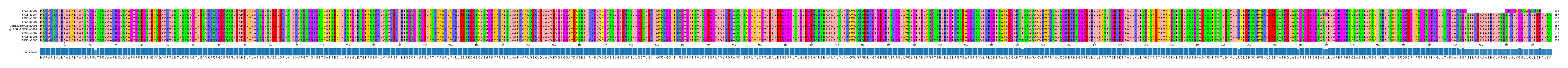 Multiple Alignments (by translate haplotype similarity)