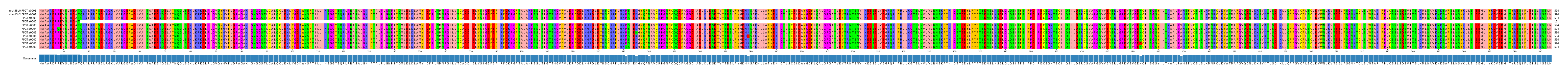 Multiple Alignments (by translate haplotype frequency)