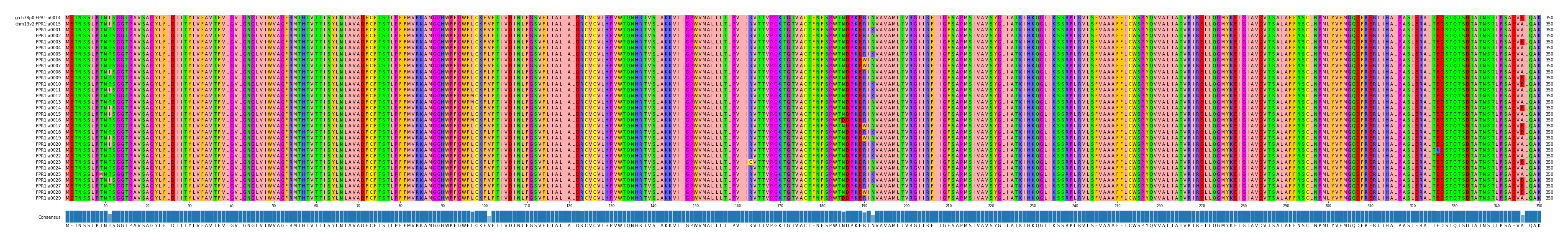 Multiple Alignments (by translate haplotype frequency)