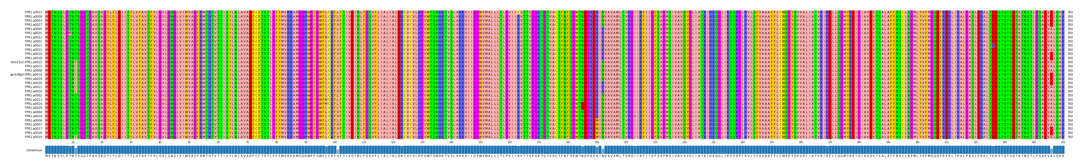 Multiple Alignments (by translate haplotype similarity)