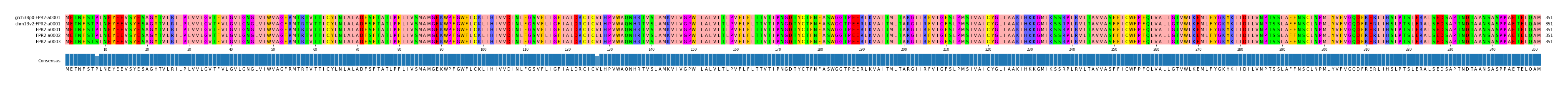 Multiple Alignments (by translate haplotype frequency)