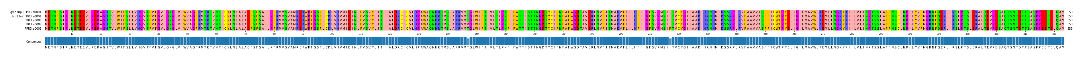 Multiple Alignments (by translate haplotype frequency)