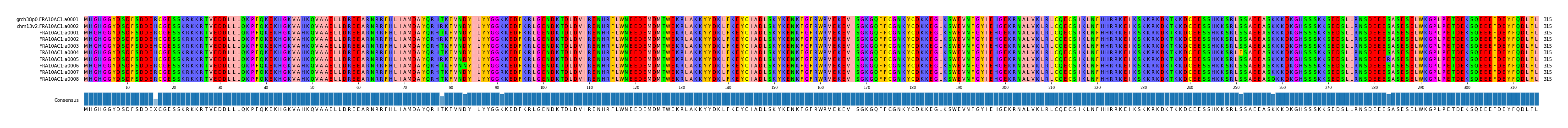 Multiple Alignments (by translate haplotype frequency)