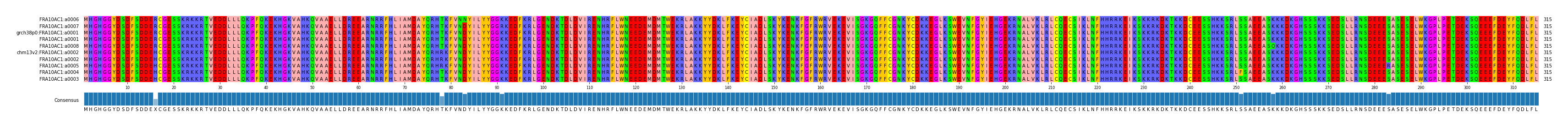 Multiple Alignments (by translate haplotype similarity)