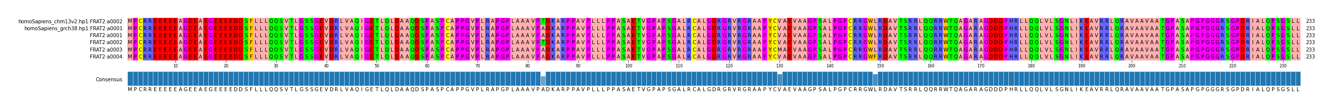 Multiple Alignments (by translate haplotype frequency)