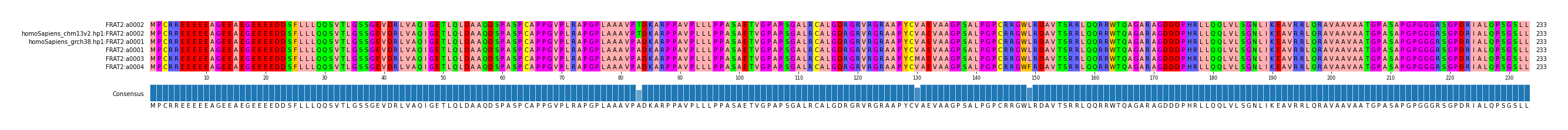 Multiple Alignments (by translate haplotype similarity)