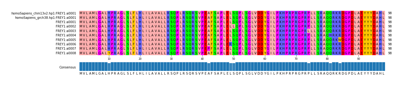 Multiple Alignments (by translate haplotype frequency)