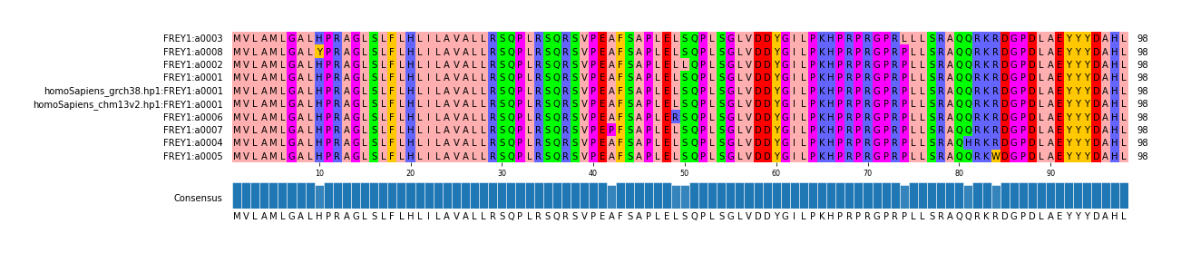 Multiple Alignments (by translate haplotype similarity)