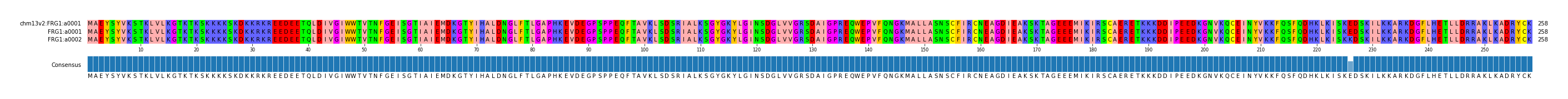 Multiple Alignments (by translate haplotype similarity)