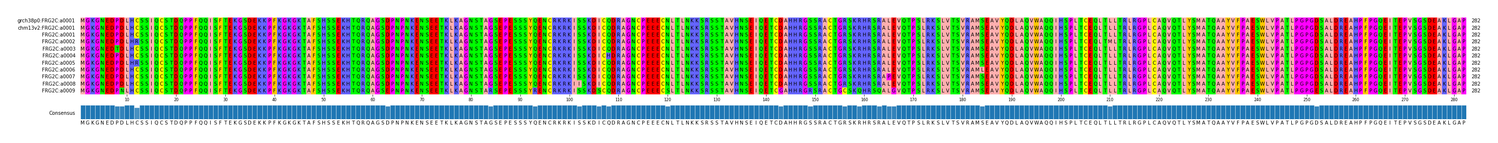 Multiple Alignments (by translate haplotype frequency)