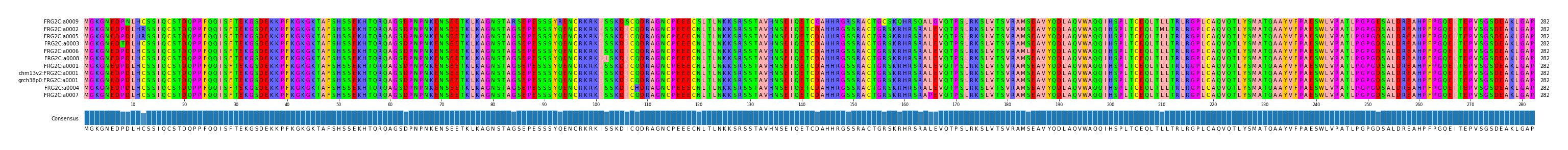 Multiple Alignments (by translate haplotype similarity)